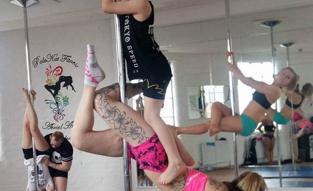Photo of PoleKat Fitness Aerial Arts Academy