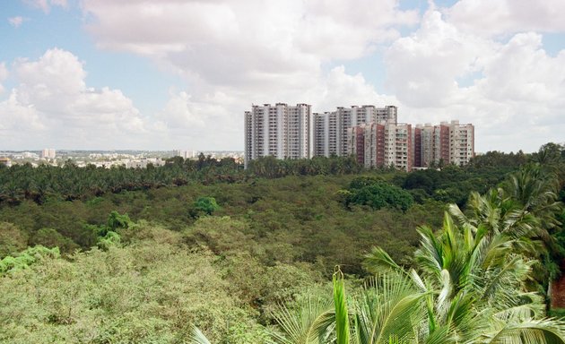 Photo of Alembic Urban Forest