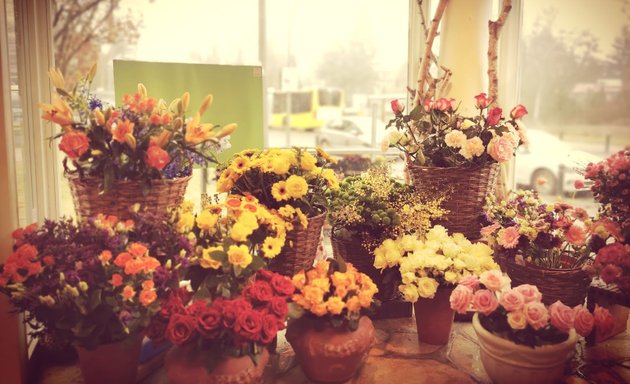 Foto von blumen-stieger kreative Floristik und Friedhofsgärtnerei