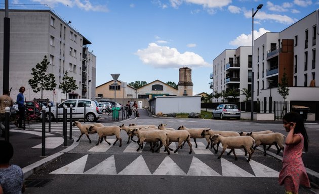 Photo de La Bergerie Urbaine