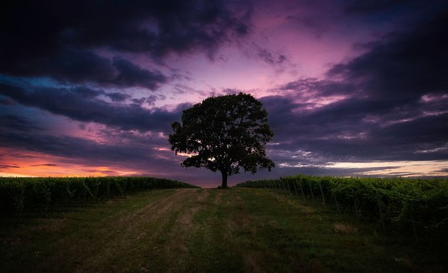 Photo of Urban Oak Management