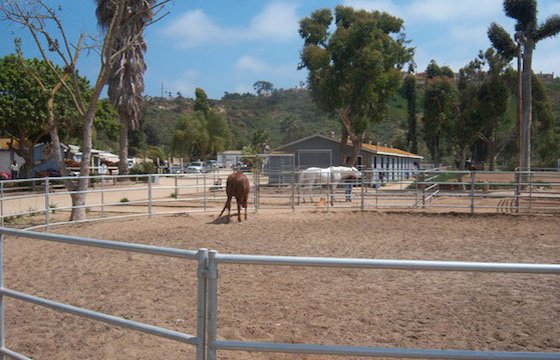 Photo of Rancho El Camino Equestrian Horse Boarding and Lessons