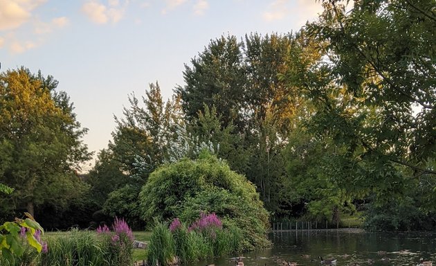 Photo of Waddon Ponds