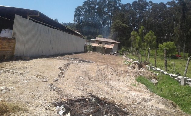 Foto de Arquitectos Constructora Casas en Cuenca Construba