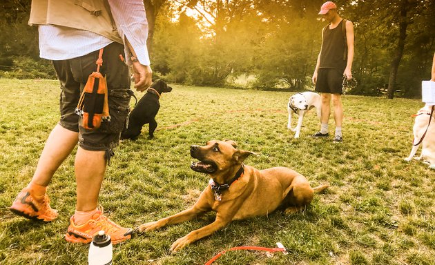 Foto von HundGut.Treffpunkt Moabit Kleiner Tiergarten