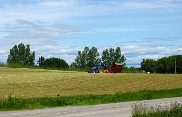 Photo of Fox Hill Cheese House