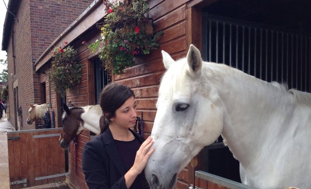 Photo of Trent Park Equestrian Centre