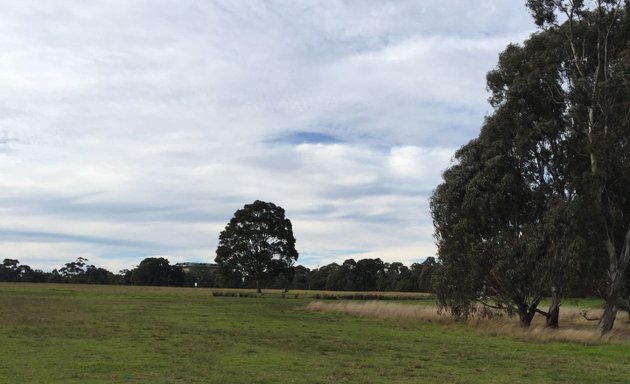 Photo of Native Grassland Circle