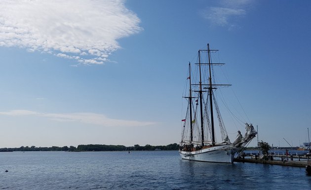 Photo of Tall Ship Trees