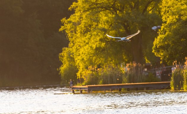 Photo of High Park North Gates