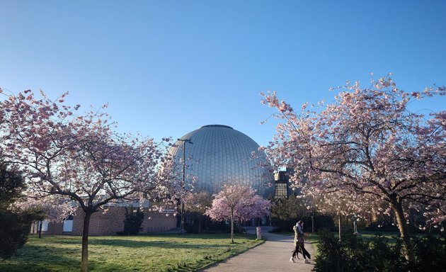 Foto von Stiftung Planetarium Berlin