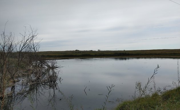 Photo of Northeast Swale