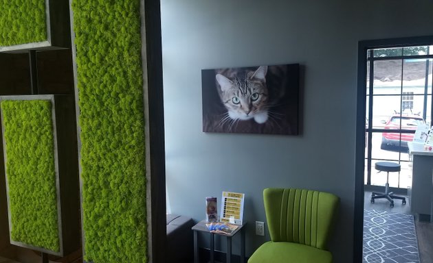 Photo of Queen City Animal Hospital