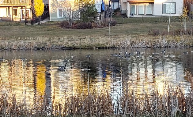 Photo of Helm Pond