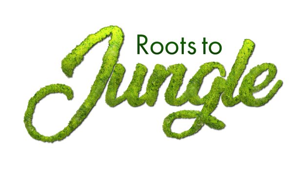 Photo of Roots to Jungle