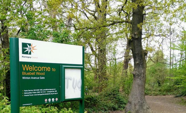 Photo of Bluebell Wood, London