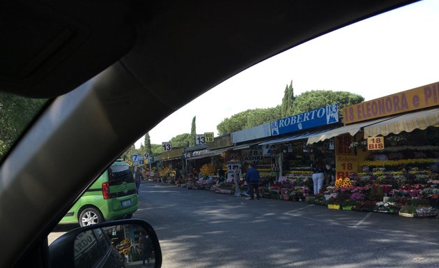 foto Cimitero Flaminio - Prima Porta