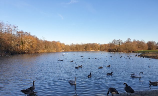 Photo of Belhus Wood Country Park Play Area