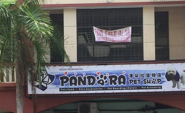 Photo of Pandora Pet Shop