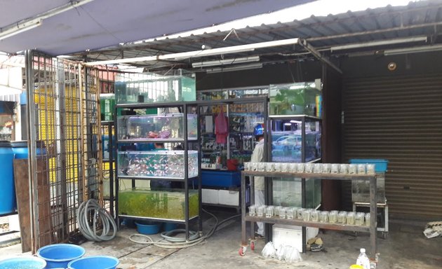 Photo of Aquarium Seberang Jaya