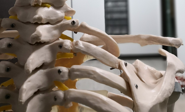 Foto de Ostemas - Osteopatía y masajes en Bilbao, Vizcaya