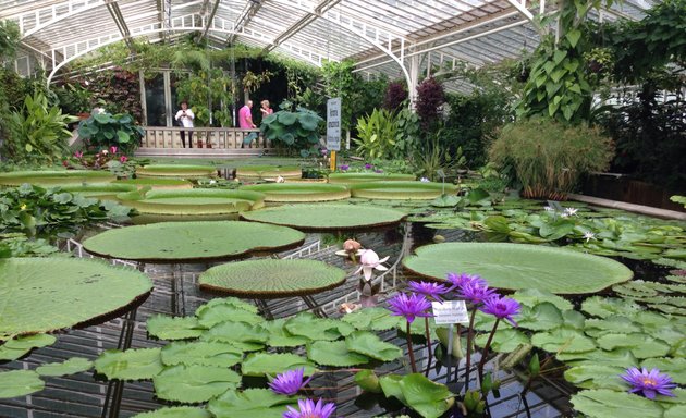 Foto von Botanischer Garten: Wüstenpflanzen