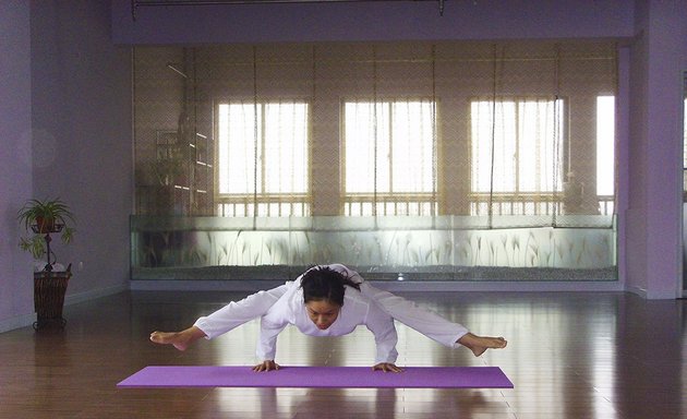 Photo of Yoga Lily | Yoga TaiChi Qigong Wellness