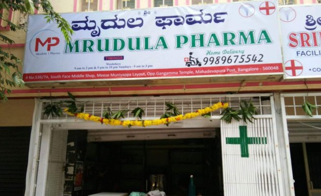 Photo of Mrudula Pharma