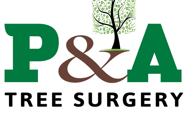 Photo of p&a Tree Surgery