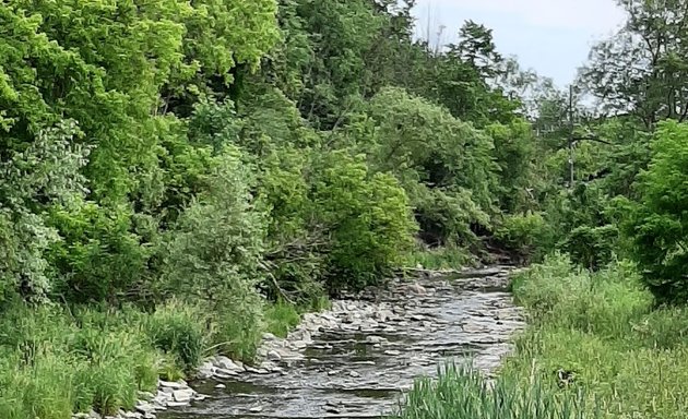 Photo of Duncan Creek Park