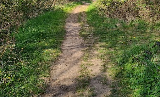 Photo of Beighton Marsh