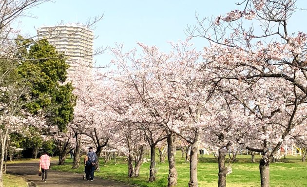 写真 西神中央公園