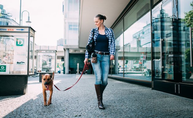 Foto von Sprich mit dem Hund - Lilli Guth, Ihr Hundecoach in München und Umgebung