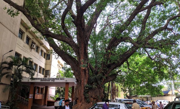 Photo of D C Office, Bangalore Division