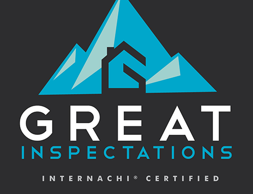 Photo of Great Inspectations