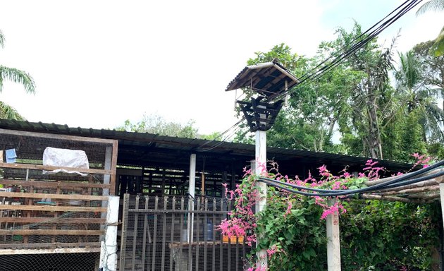 Photo of Kebun Tok Ujang