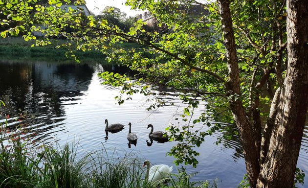 Foto von Breitkopfbecken