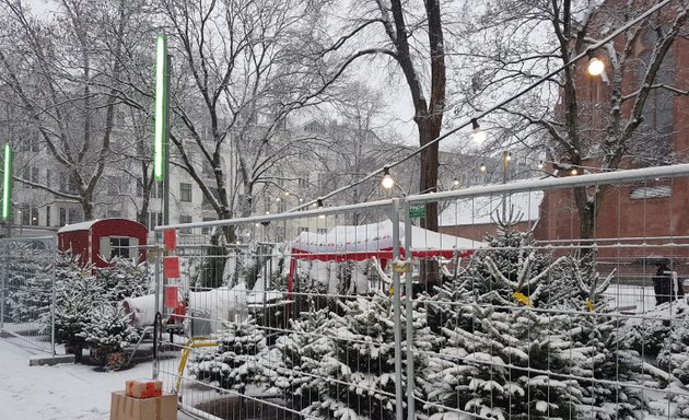 Foto von Weihnachtsbaumverkauf Ludwigkirchplatz