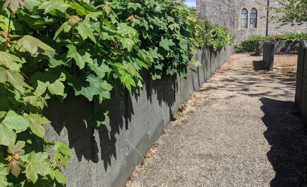 Photo of No Place Memorial Garden