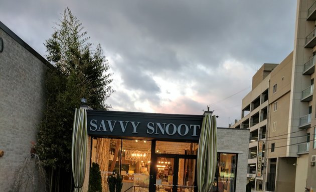 Photo of Savvy Snoot