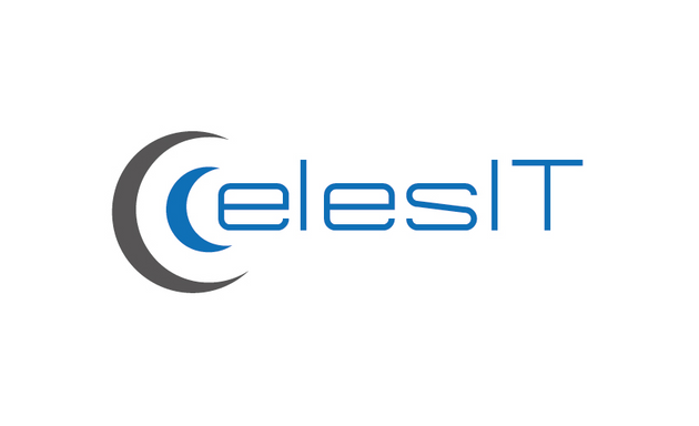 Photo of CelesIT Inc