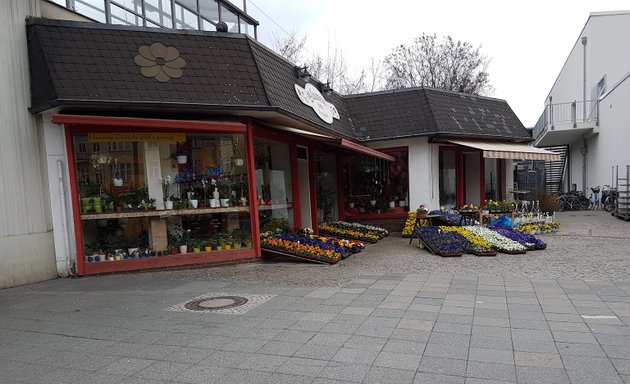 Foto von Blumen am Bahnhof