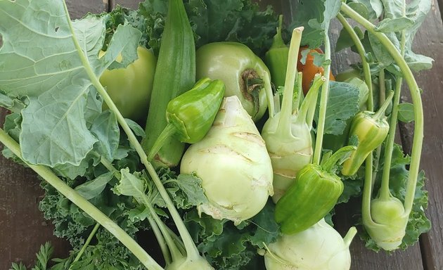 Photo of Southtown Community Garden