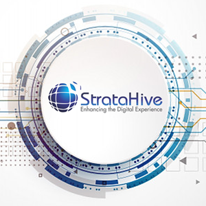 Photo of Stratahive Services - Artificial Intelligence, Machine Learning, Advanced Analytics