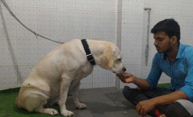 Photo of Bhubhu House Pet Care Centre
