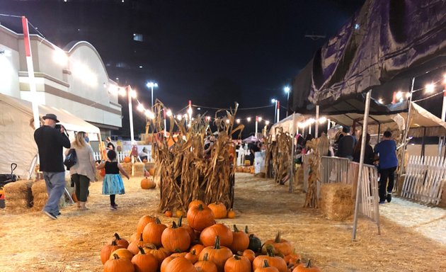 Photo of Shawn's Pumpkin Patch - Opening October 1st, 2022
