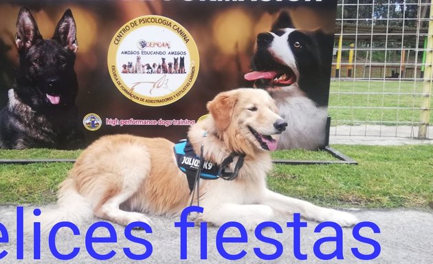Foto de Guarderia canina Cepcan high performance dogs training