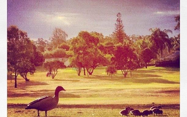 Photo of Jindalee Golf Club