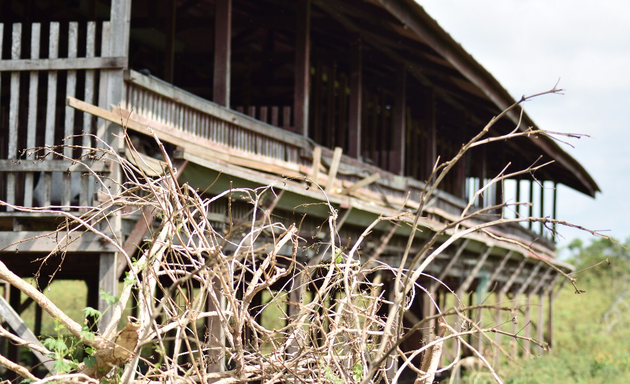 Photo of Asrar Bangi Farm