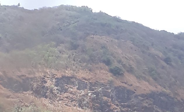 Photo of Runwal Hills